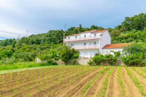 Apartments Mirta